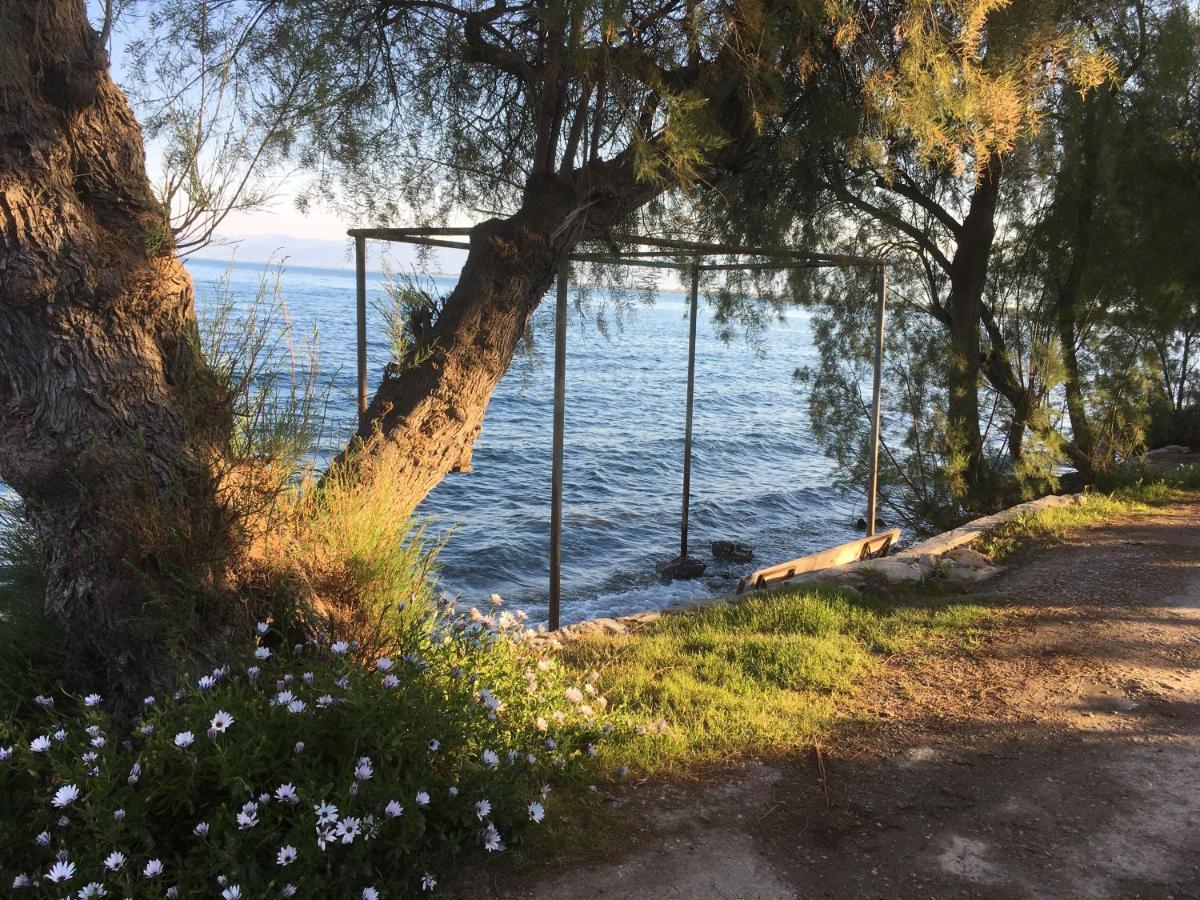 Seaside Apartment With Private Garden Νέα Αγχίαλος Εξωτερικό φωτογραφία